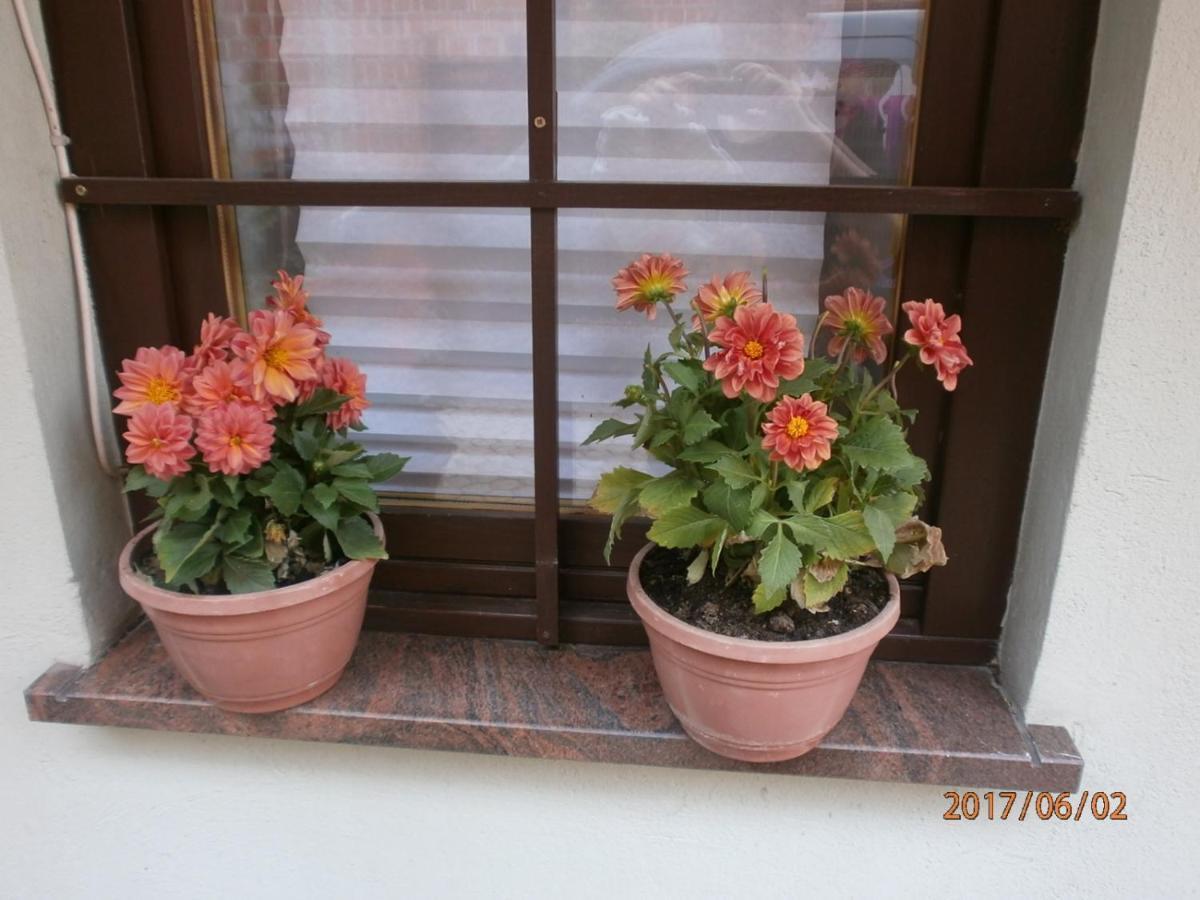 Apartments With A Parking Space Samobor, Prigorje - 12869 Exterior foto